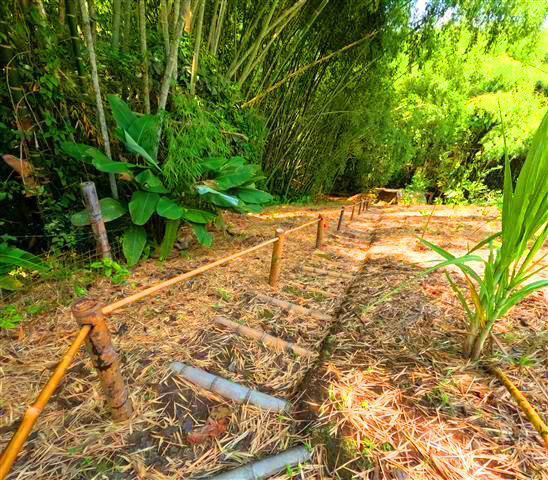 sendero ecologico Estancia Villa Gloria